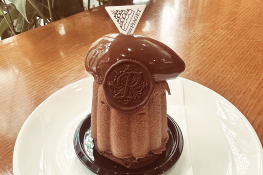 {{brizy_dc_image_alt imageSrc=